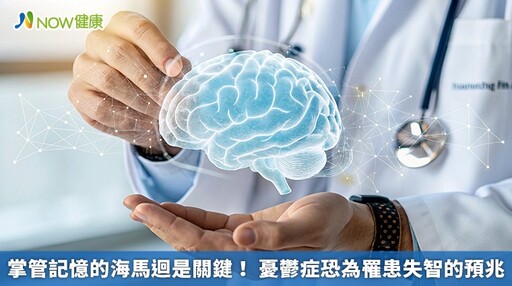 掌管記憶的海馬迴是關鍵! 憂鬱症恐為罹患失智的預兆