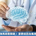 掌管記憶的海馬迴是關鍵！ 憂鬱症恐為罹患失智的預兆