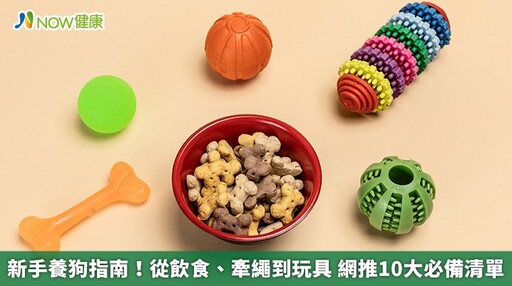 新手養狗指南!從飲食、牽繩到玩具 網推10大必備清單