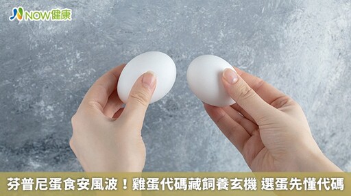 芬普尼蛋食安風波!雞蛋代碼藏飼養玄機 選蛋先懂代碼