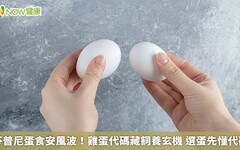 芬普尼蛋食安風波！雞蛋代碼藏飼養玄機 選蛋先懂代碼