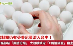 管制期仍有芬普尼蛋流入台中！衛福部祭「風險分層」 大規模鎖定「C碼籠飼蛋」稽查