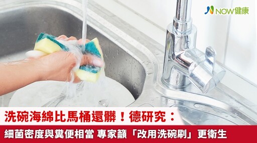 洗碗海綿比馬桶還髒!德研究:細菌密度與糞便相當 專家籲「改用洗碗刷」更衛生
