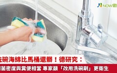 洗碗海綿比馬桶還髒！德研究：細菌密度與糞便相當 專家籲「改用洗碗刷」更衛生