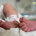 孕婦發燒急產嬰 新生兒唇色發紺竟是染「這1罕見兇猛腸病毒」險喪命