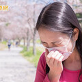 春暖花開哈啾連連？ 醫點名「6族群」小心花粉季