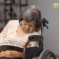 如何預防失智症？醫師提醒三大關鍵：正視、檢查、預防