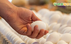 15萬顆「芬普尼蛋」流入9縣市！什麽是芬普尼？誤食對健康有何危害？