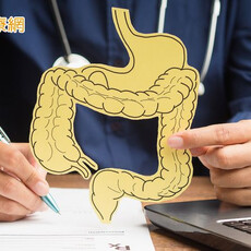 大腸癌發生率居高不下 台灣腸癌病友協會籲：定期篩檢就是點石成金