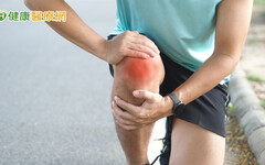 重建十字韌帶植入物怎麼選？醫師剖析來源與差異
