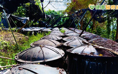 從森林到腳下的每一步：十安以善行健走 展現永續實踐力