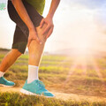 膝蓋老化、磨損怎麼辦？醫授4大預防法 「這運動」有助維持活動範圍