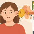 掏耳朵小心「耳膜破裂」！醫揭3類人群必定要清理耳垢 這樣做才安全