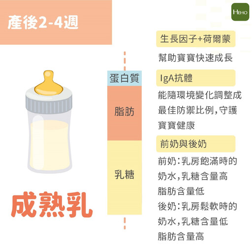 哺餵母乳餐食不煩惱！為寶寶量身訂做的完整營養！母乳的好處有哪些？不同時期的母乳營養有何不同？