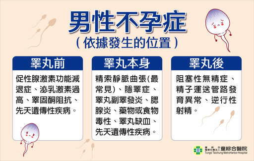 男性不孕禍首！精索靜脈曲張影響精液品質微創顯微手術恢復生育力