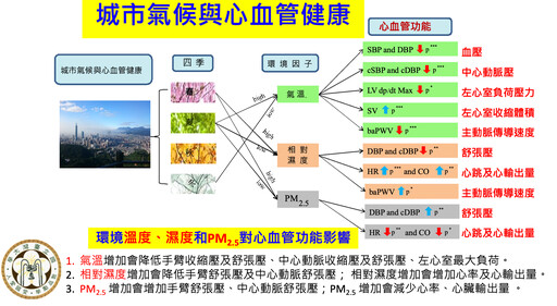 台北市十年來更潮濕、更悶熱！小心對血壓、心律、心血管都有影響