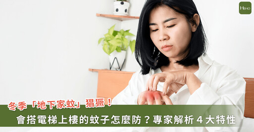 入冬為何也被蚊子狂叮？專家解析「地下家蚊」會搭電梯上樓，還有 4 大特性