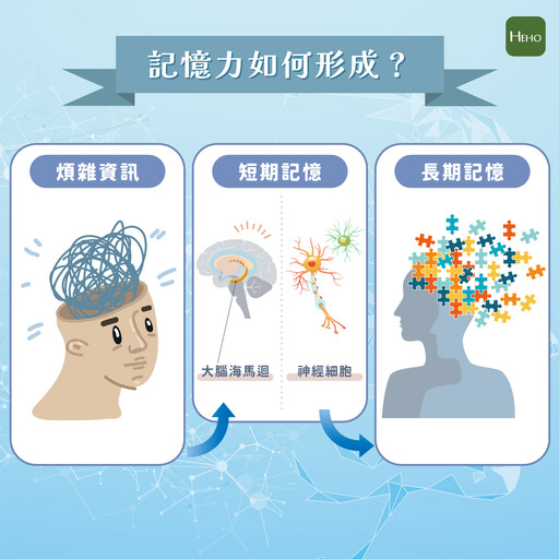 怎麼老是忘東忘西？醫師：「專注力」與「情緒」跟記憶力有關係