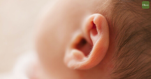 蔡桃貴耳朵出問題開刀！ 耳膜放置「一物」改善中耳積水 語言發展不受影響