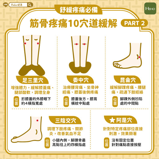 關節痛就吃止痛藥？ 中西醫師提醒：疼痛≠發炎 重視身體自救訊號