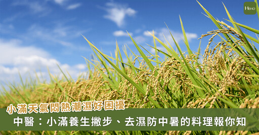 「小滿」最怕濕、熱、暑!中醫師推薦 1 料理去濕防中暑