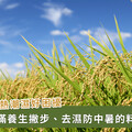 「小滿」最怕濕、熱、暑！中醫師推薦 1 料理去濕防中暑