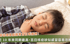 今年百日咳病例近 10 年同期最高，青少年、嬰兒要注意