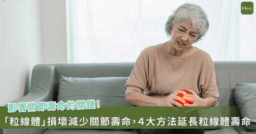膝蓋常痠痛不一定是年紀大！是「細胞發電廠」壞了 醫師解密粒線體