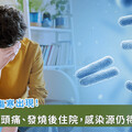 今年首例本土副傷寒出現！20 多歲男發燒、頭痛、腹瀉，感染源待釐清