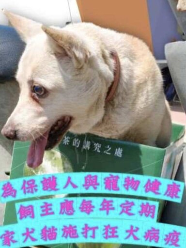 雲林縣六月啟動13場免費 狂犬病疫苗巡迴接種 防疫動起來 毛孩健康不容妥協!