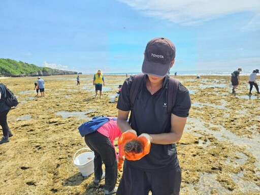 屏縣府啟動海膽移除行動 逆轉海洋生態危機