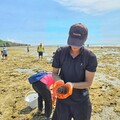 屏縣府啟動海膽移除行動 逆轉海洋生態危機