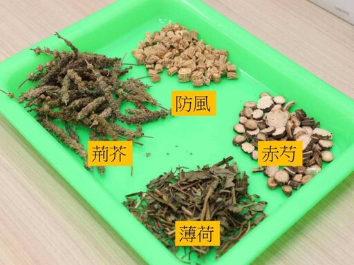 中醫治療汗皰疹 分型調理體質助機械工重返崗位