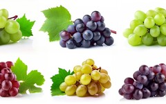 葡萄顏色種類大不同？好處營養差在哪？