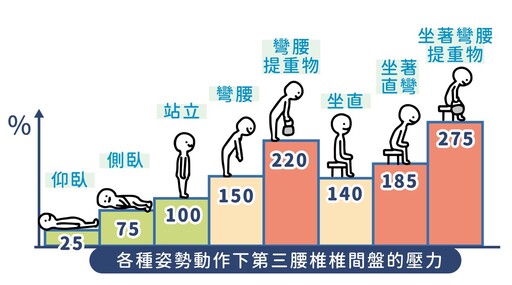 鏟屎官看過來～寵貓物理治療師，教你如何做好貓奴的工作！