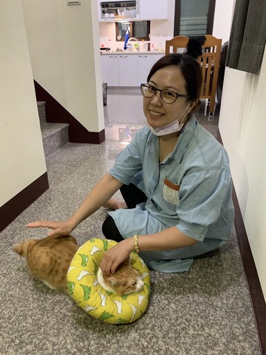 久坐，是身體失衡的溫水煮青蛙 / 寵貓物理治療師-云菁；告訴你怎麼活起來