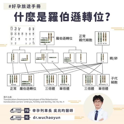 「羅伯遜轉位」藏危機：基因檢測如何改變反覆流產命運？