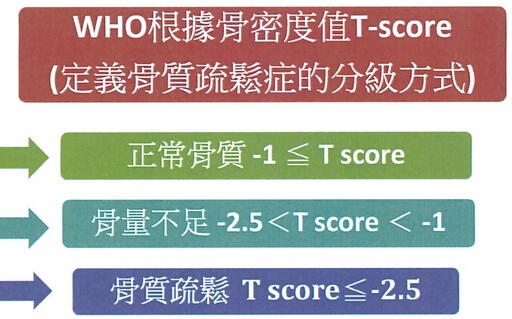 注意骨質疏鬆症：骨質要顧好，健康活動不煩惱！