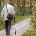 預防是對抗失智症的最佳策略 醫師：「地中海飲食」可降低23％癡呆症風險