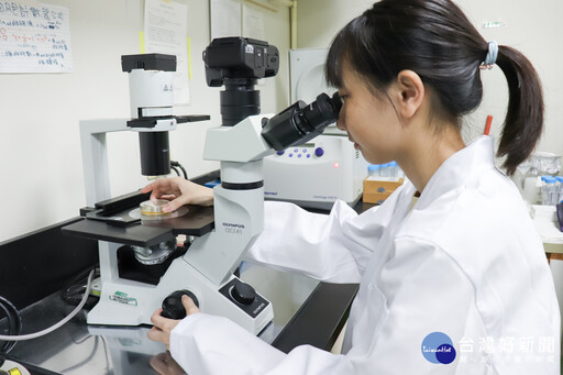 長庚大學團隊開創眼角膜細胞修護法 透過編程誘導性多能幹細胞成功修護視力