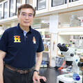 長庚大學團隊開創眼角膜細胞修護法 透過編程誘導性多能幹細胞成功修護視力