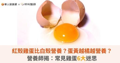 紅殼雞蛋比白殼營養？蛋黃越橘越營養？營養師揭：常見雞蛋6大迷思