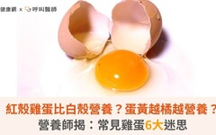 紅殼雞蛋比白殼營養？蛋黃越橘越營養？營養師揭：常見雞蛋6大迷思