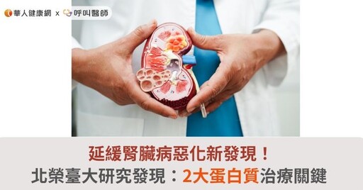 延緩腎臟病惡化新發現！北榮臺大研究發現：2大蛋白質治療關鍵