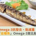 Omega-3抗發炎、助減重！醫師：「這種魚」Omega-3竟比鮭魚高2倍