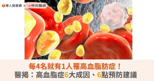 每4名就有1人罹高血脂肪症！醫揭：高血脂症6大成因、6點預防建議