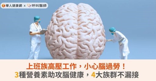 上班族高壓工作，小心腦過勞！3種營養素助攻腦健康，4大族群不漏接