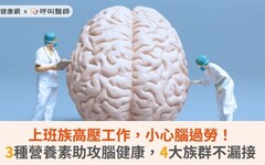 上班族高壓工作，小心腦過勞！3種營養素助攻腦健康，4大族群不漏接