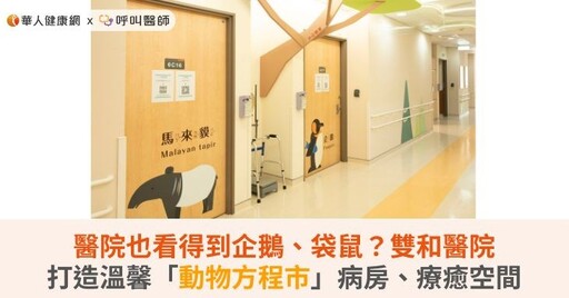 醫院也看得到企鵝、袋鼠？雙和醫院打造溫馨「動物方程市」病房、療癒空間