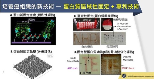 國衛院研發新穎體外三維癌細胞培養技術，「癌組織工廠」助個人化癌症精準治療！